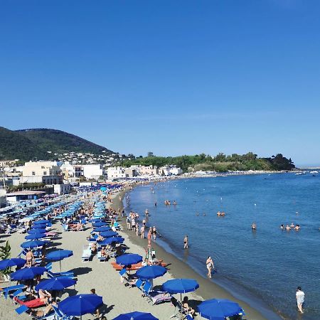 Monolocale Ischia Isola Verde Экстерьер фото